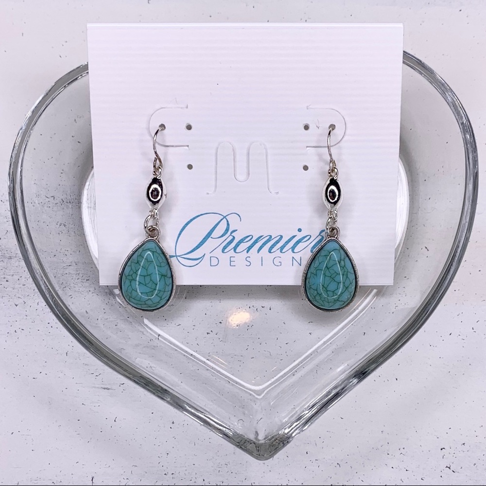 Premier Designs “Switch It Up” Earrings